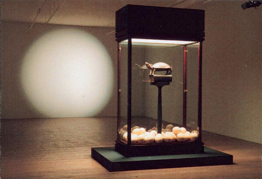 Art contemporain avec tortue