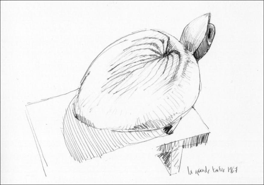Gravures avec Tortues.