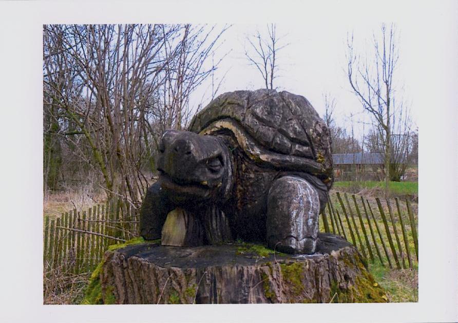 Sculptures avec tortues