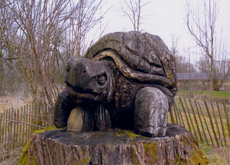 Sculptures avec tortues