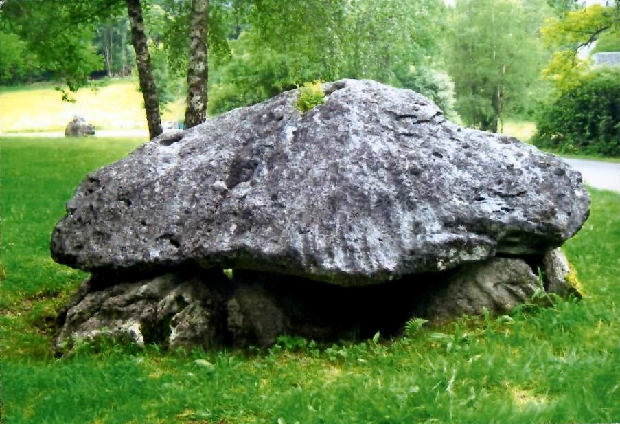 Tortues de France.