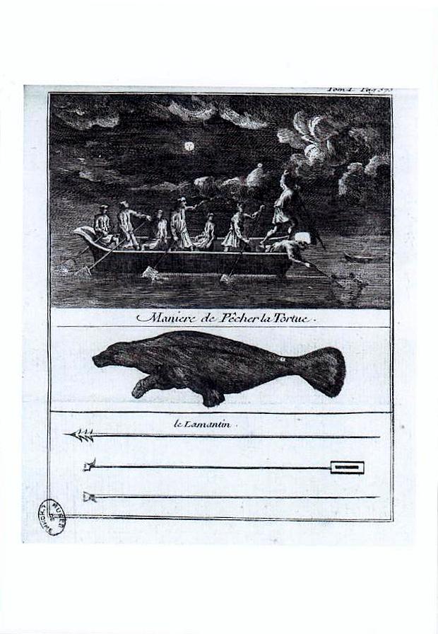 Gravures avec Tortues.