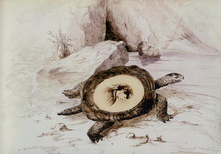 Art contemporain avec tortue