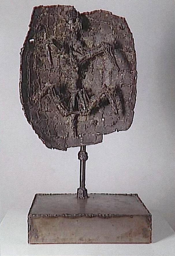 Sculptures avec tortues