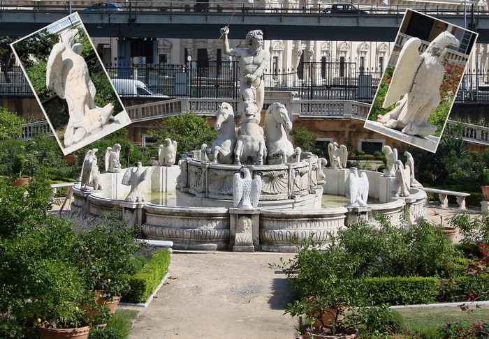 Tortues d'Italie.