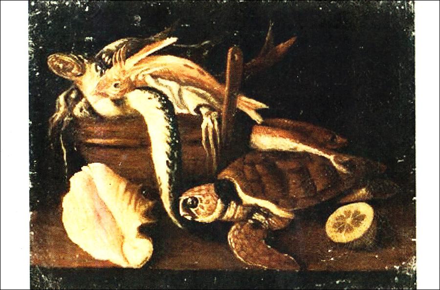 Tortues d'Italie.