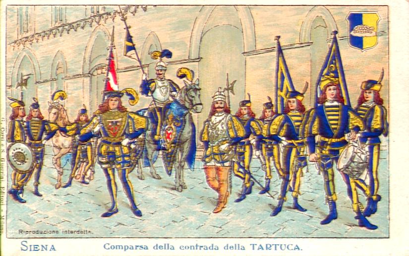 Tortues d'Italie.