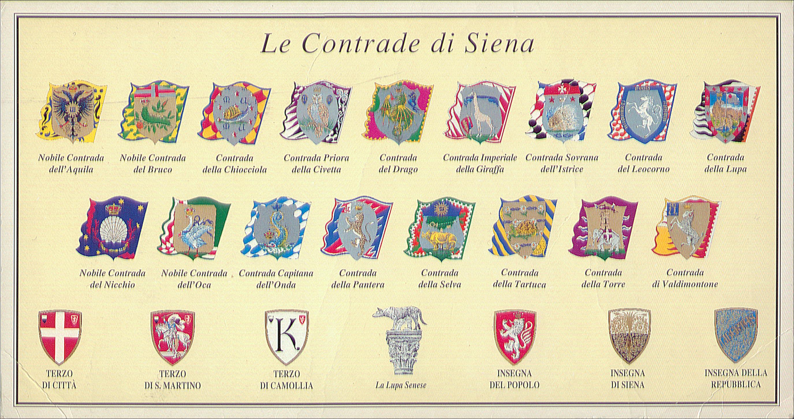 Tortues d'Italie.