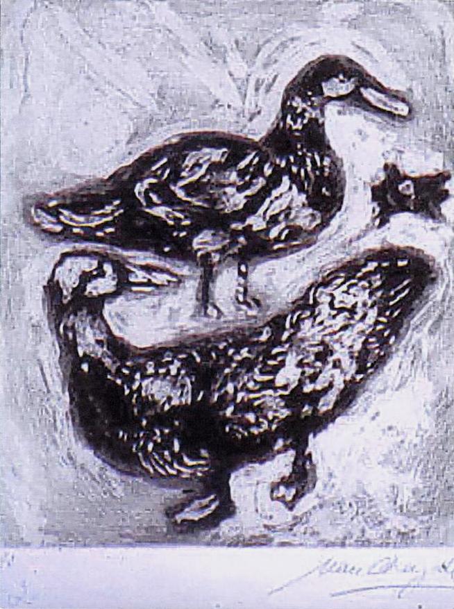 Art contemporain avec tortue