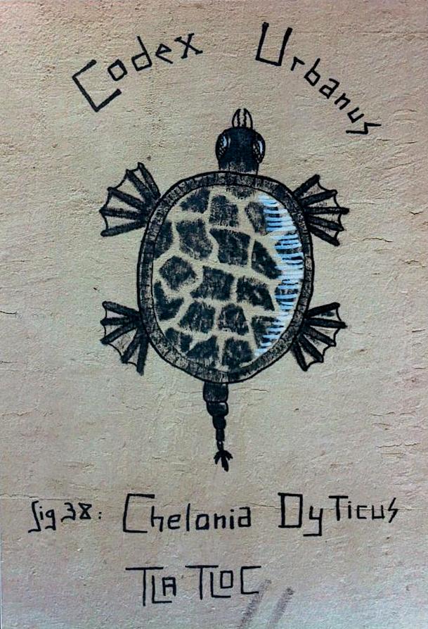 Art contemporain avec tortue