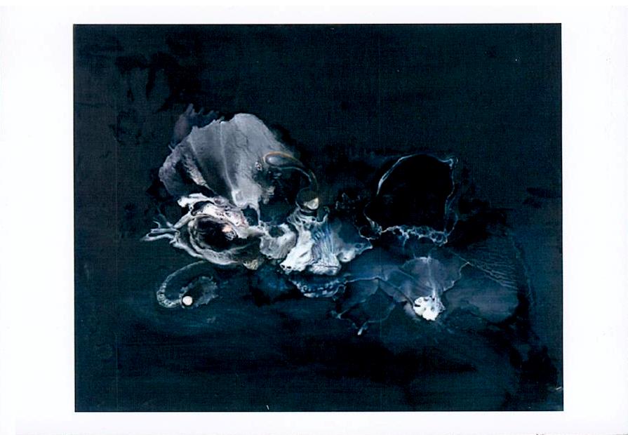 Art contemporain avec tortue