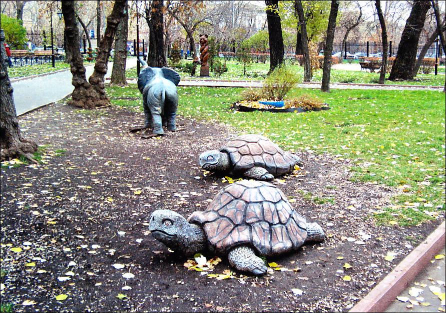 Art contemporain avec tortue