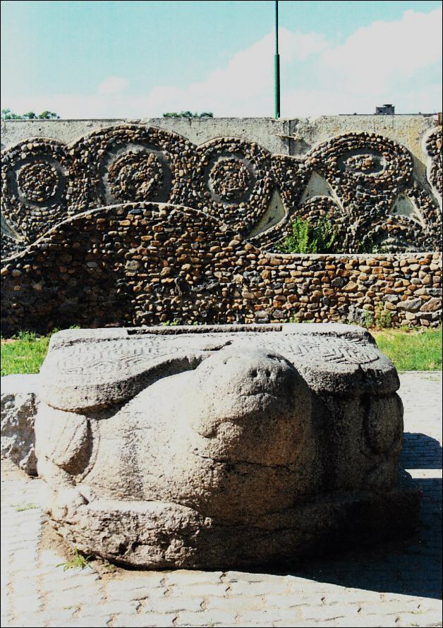 Tortues de Russie