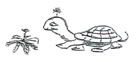 Image d'un tortue s'apprêtant à manger une salade.