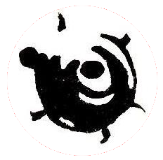Logo tortues passion.