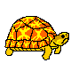 Tortue qui avance.