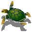 Tortue qui nage.