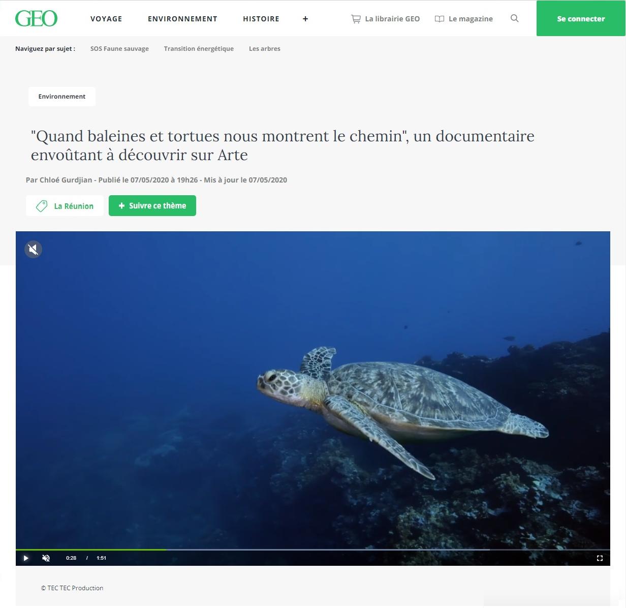 Article "\"Quand baleines et tortues nous montrent le chemin\", un documentaire envoûtant à découvrir sur Arte".