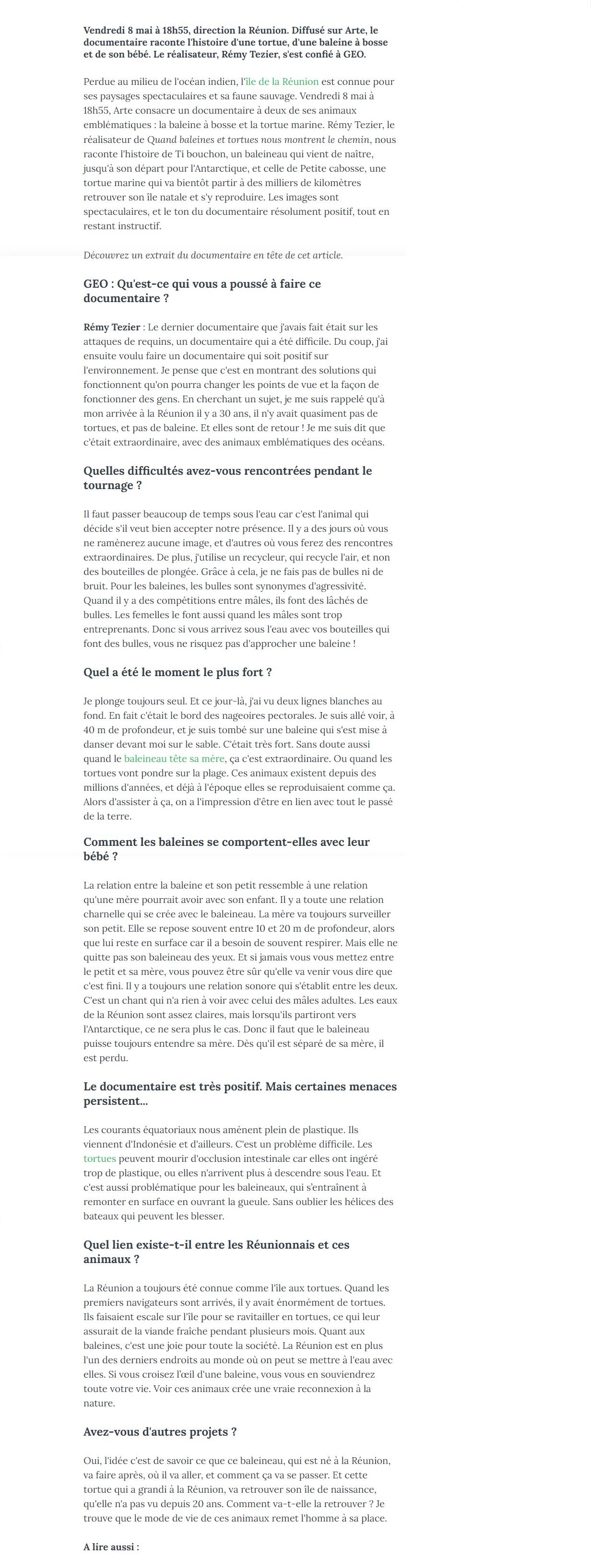 Article "\"Quand baleines et tortues nous montrent le chemin\", un documentaire envoûtant à découvrir sur Arte".