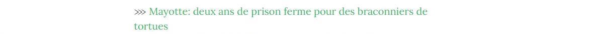 Lien vers article "Mayotte: deux ans de prison ferme pour des braconniers de tortues".