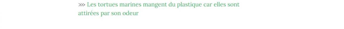 Lien vers article "Les tortues marines mangent du plastique car elles sont attirées par son odeur".