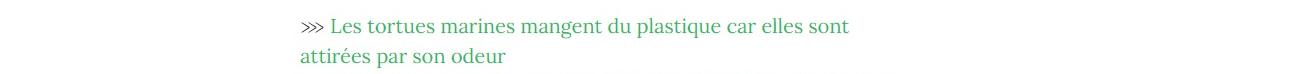 Lien vers article "Les tortues marines mangent du plastique car elles sont attirées par son odeur".