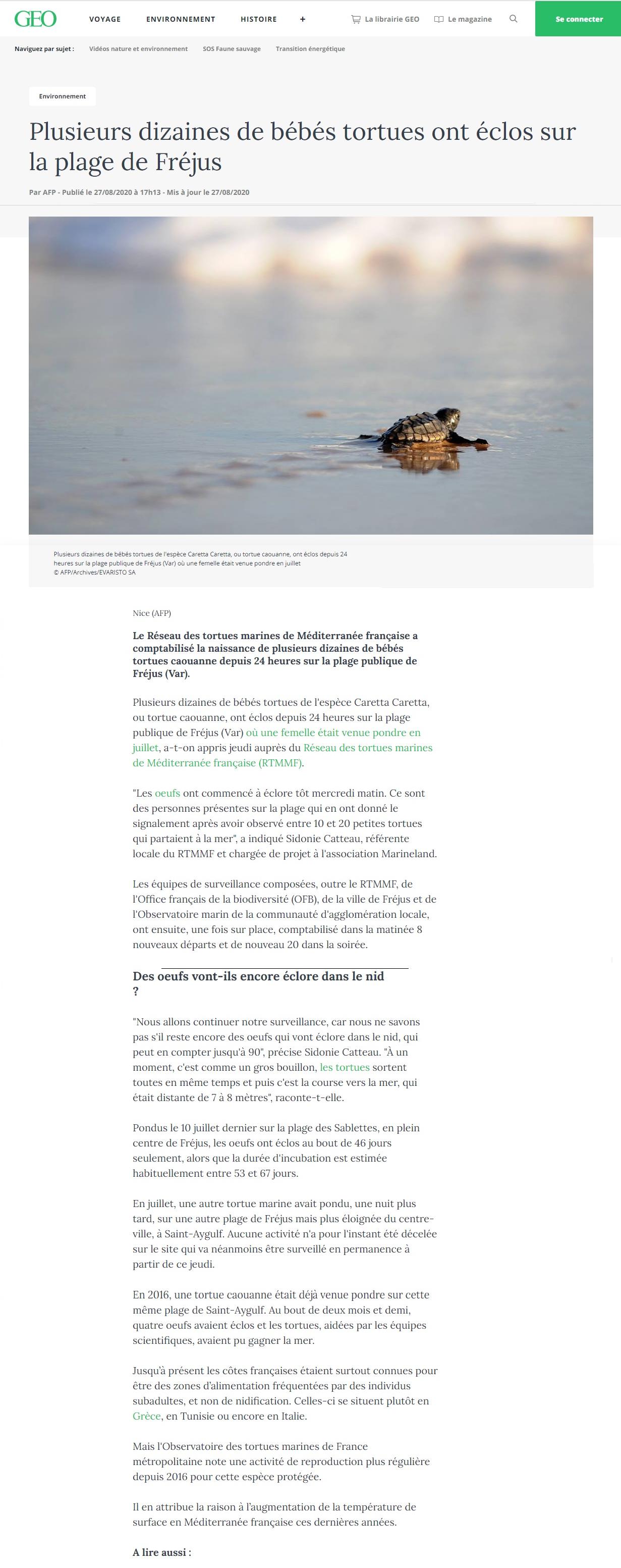 Article "Plusieurs dizaines de bébés tortues ont éclos sur la plage de Fréjus".
