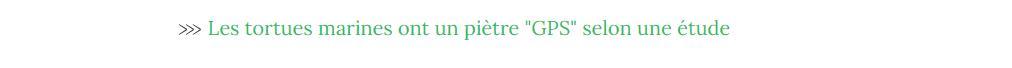 Lien vers article "les tortues marines ont un piètre GPS".