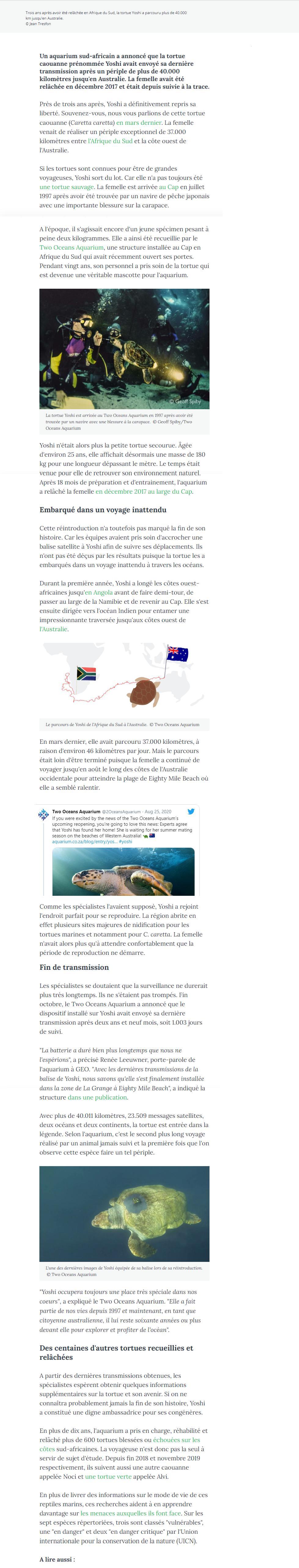 Article dernière émission de la tortue Yoshi.
