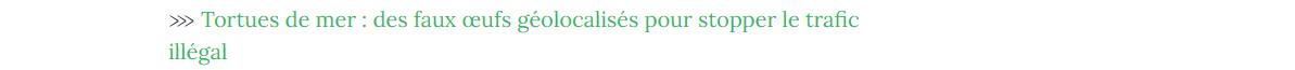 Lien vers article "faux oeufs géolocalisés pour stopper le trafic illégal.