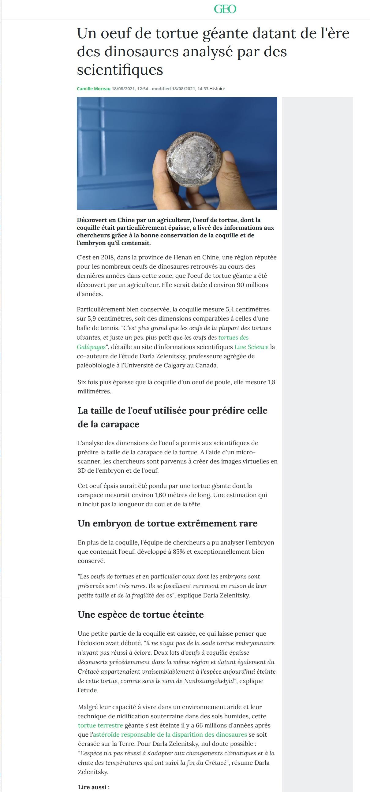 Article Geo : un oeuf de tortue géante datant de l'ère des dinausaures analysé par des scientifiques.