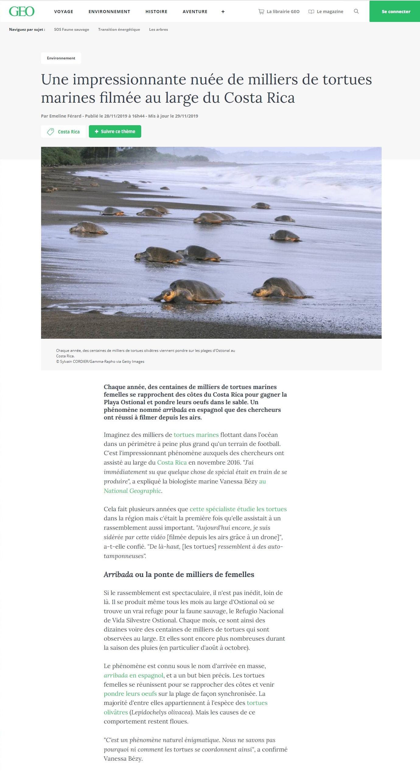 Article "Une impressionante nuée de milliers de tortues marines filmée au large du Costa Rica".