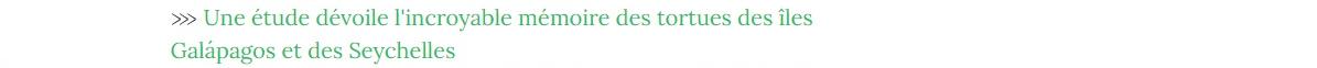 Lien vers article "Une étude dévoile l'incroyable mémoire des tortues des îles Galápagos et Seychelles".