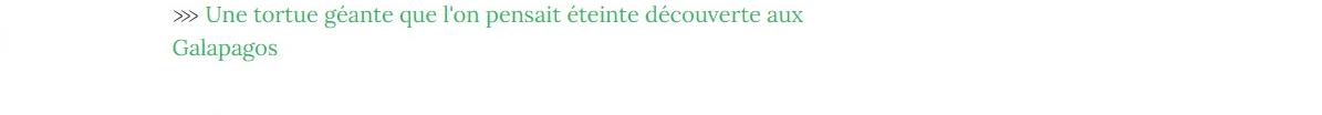 Lien vers article "Une tortue géante que l'on pensait éteinte découverte aux Galápagos".