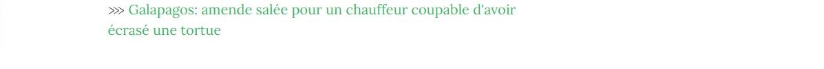 Lien vers article "Galápagos : une amende salée pour un chauffeur coupable d'avoir écrasé une tortue".