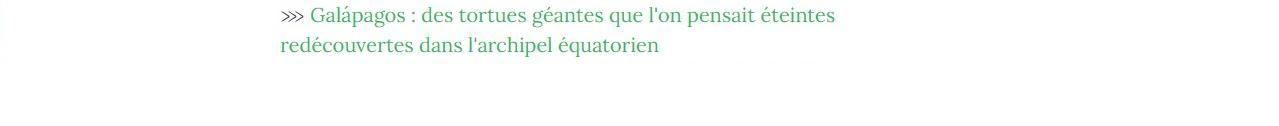 Lien vers article "Galápagos : des tortues géantes que l'on pensait éteintes redécouvertes dans l'archipel équatorien".