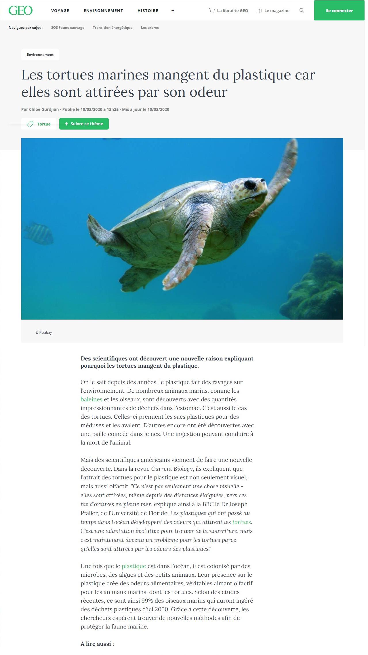 Article "Les tortues marines mangent du plastique car elles sont attirées par son odeur".