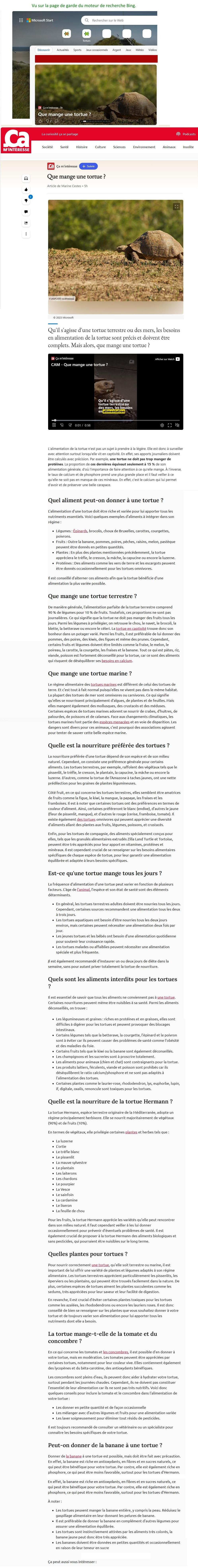 Article ça m'intéresse : que mange une tortue ?