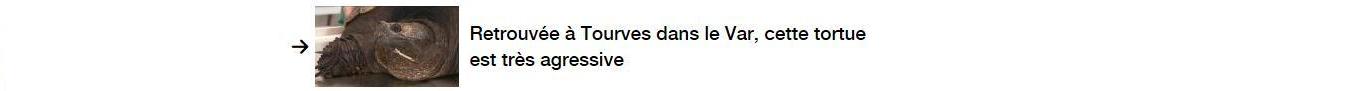 Lien vers un autre article.