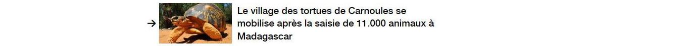Lien vers un autre article.