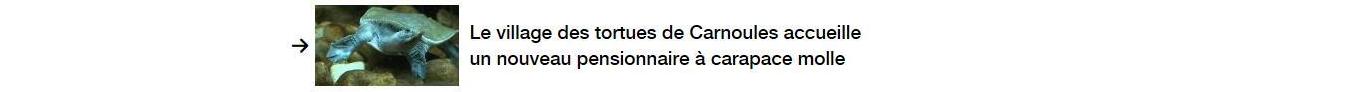 Lien vers un autre article.