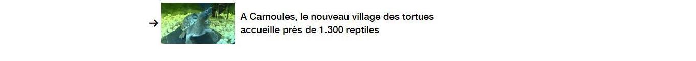 Lien vers un autre article.
