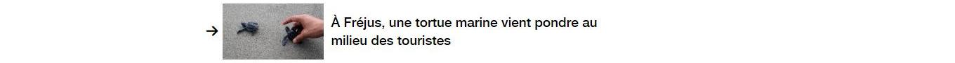 Lien vers un autre article.