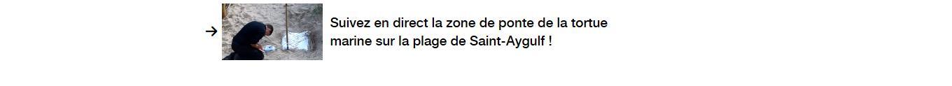 Lien vers un autre article.