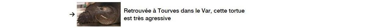 Lien vers un autre article.