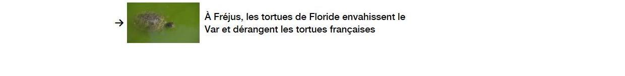 Lien vers un autre article.
