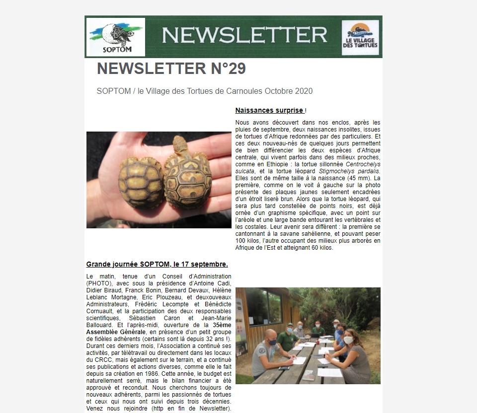 Newsletter Soptom 01.