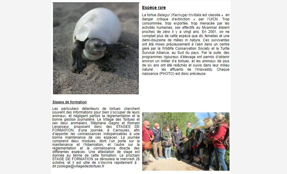Newsletter Soptom 02.