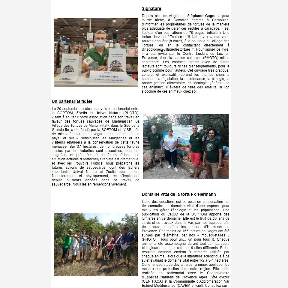 Newsletter Soptom 03.
