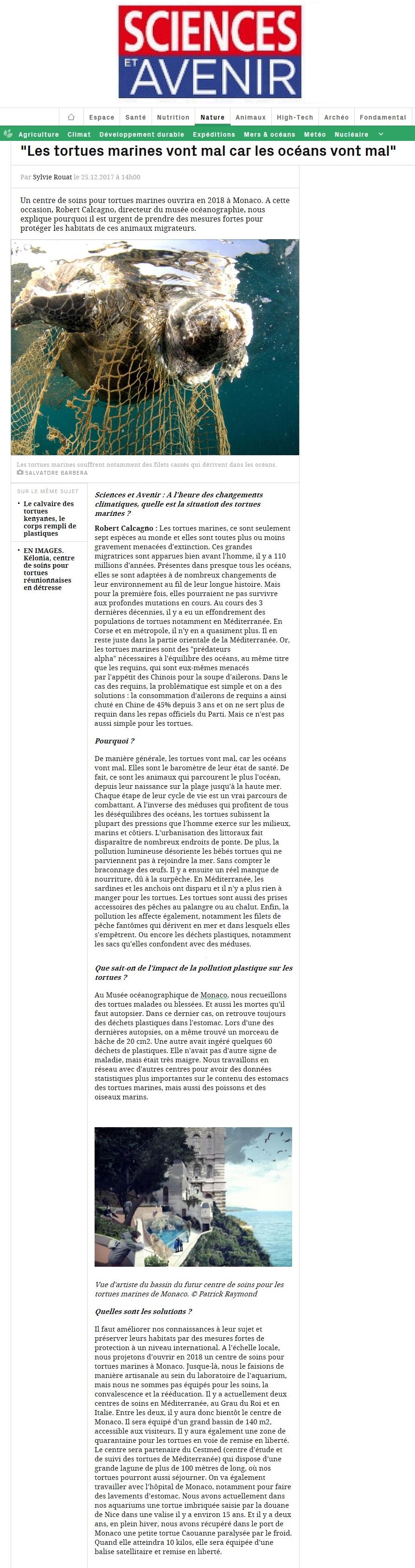 Tortues et océans malades